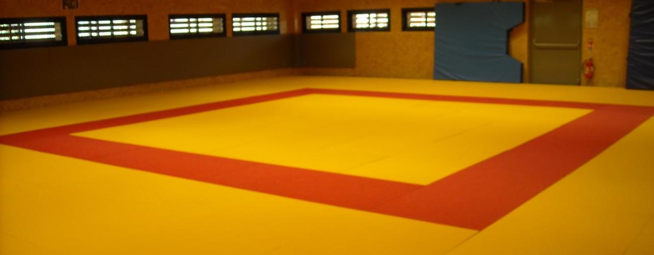Dojo